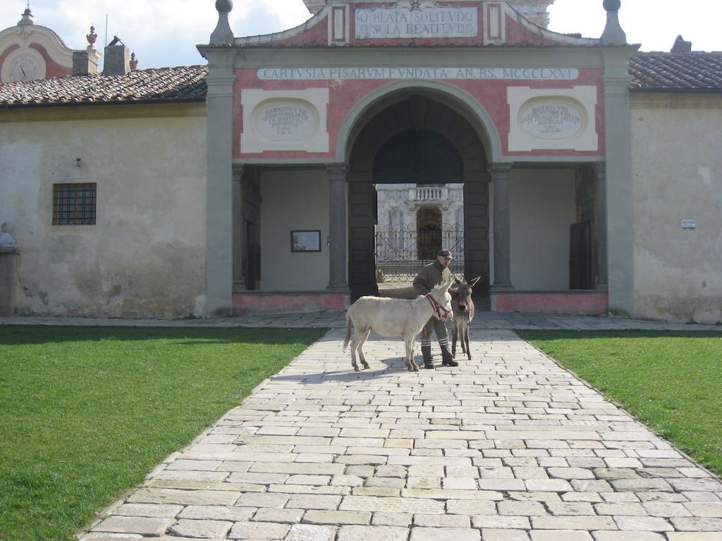 Al Palazzaccio Vila Calci Exterior foto